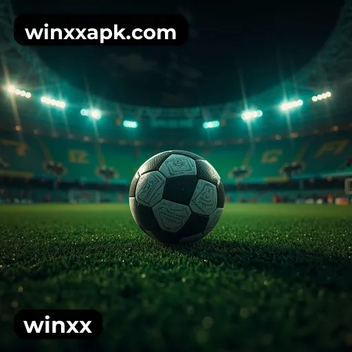winxx Instalar Logo 2
